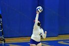 VB vs ENC  Wheaton College Women's Volleyball vs Eastern Nazarene College. - Photo By: KEITH NORDSTROM : Wheaton, volleyball, VB, Eastern Nazarene College